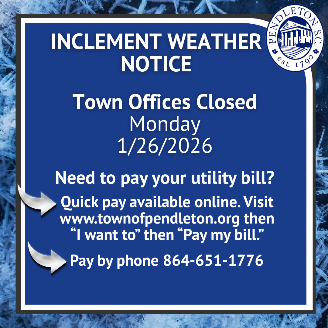 BUSINESS LICENSE (2).png